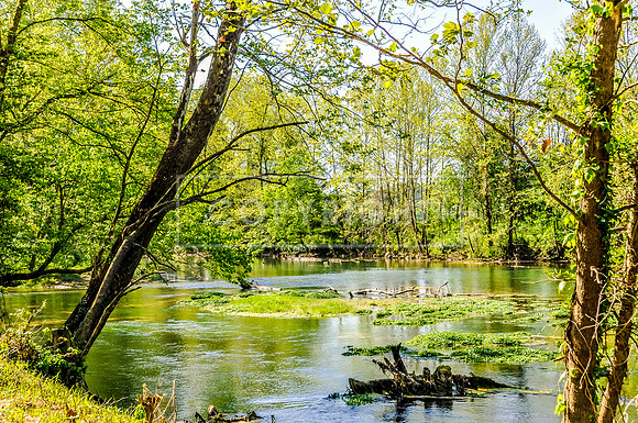 Roubidoux Creek.jpg