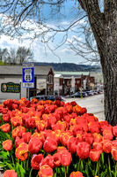 Waynesville Route 660498.jpg