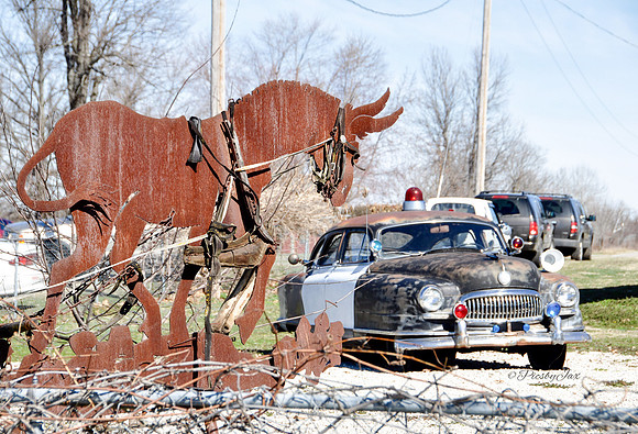 Gay Parita Police Car and Sculpture-2.jpg