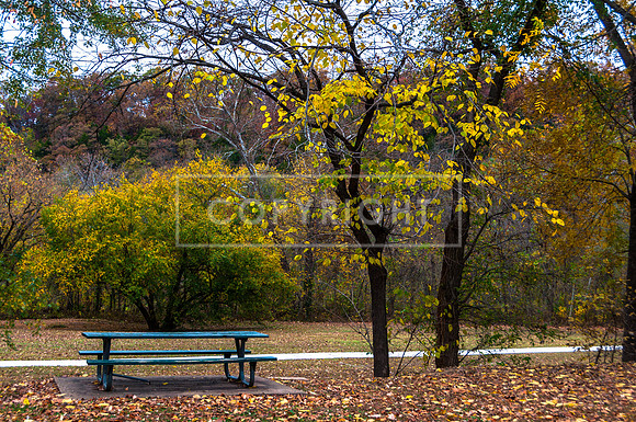 Waynesville MO Park-7844.jpg