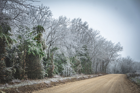 Jupiter Ice Storm- Saturday 14, 2017 (c)PicsbyJax whatisee shootandediteveryday picsbyjax-4847.jpg