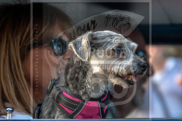 Birthplace of Route 66 Festival 2024 © Pics by Jax-2103.jpg