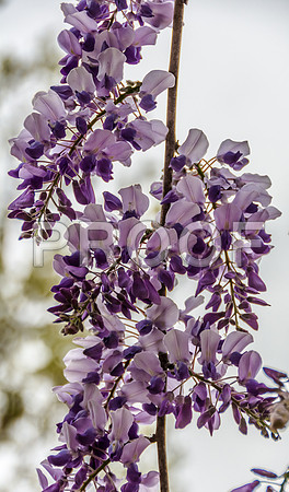 JAX_9387-HDR.jpg