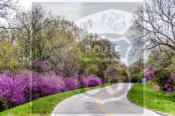 Route 66: Redbuds - Sleeper, MO -0842.jpg