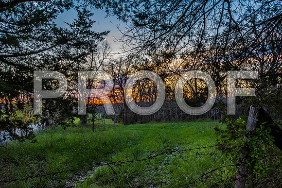 Spring 2016 - Chase the Sun-8267.jpg