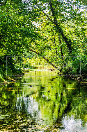 Roubidoux Creek.jpg