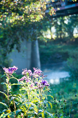 Route 66 Gasconade River Bridge Sunrise-3522.jpg