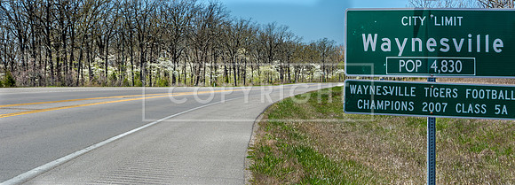 Waynesville Pop Sign Dogwoods JAX_8340.jpg