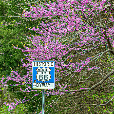 Spring 2020 PicsbyJax-0322-3(1).jpg