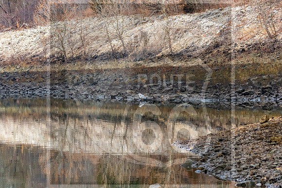 untitled-5894.jpg