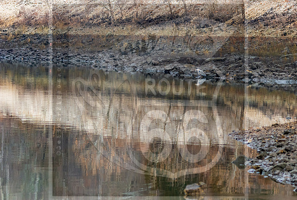 untitled-5895.jpg