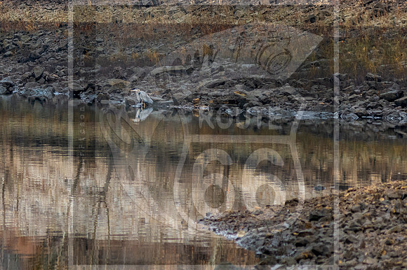 untitled-5896.jpg