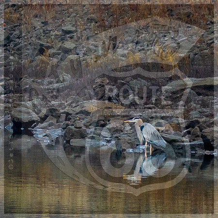 untitled-5900.jpg