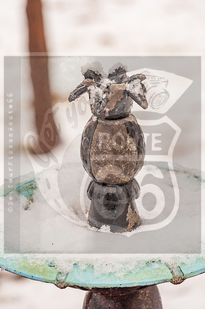 Winter Birds 2019 (c)PicsbyJax-0009.jpg