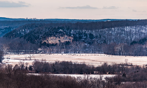 Snow Days 2017 (c)PicsbyJax snow whatisee shootandediteveryday-0034.jpg