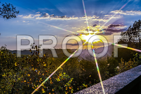JAX_9429-Edit.jpg