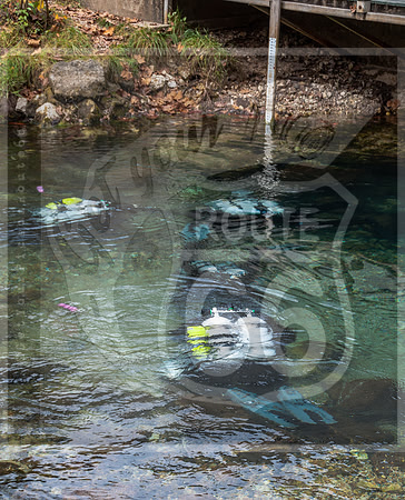 DSC_8056.jpg