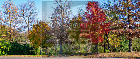 What I See (C) 2016PicsbyJax #shootandediteveryday-1654.jpg