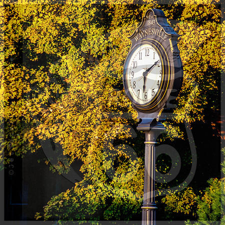 DSC_0554-Edit.jpg