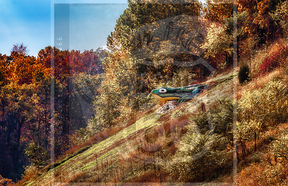 DSC_0668-Edit.jpg