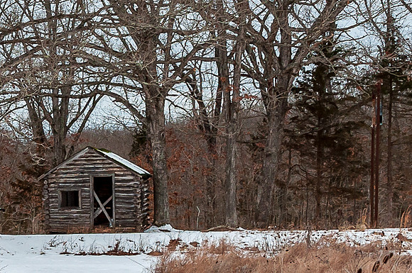 DSC_0241.jpg