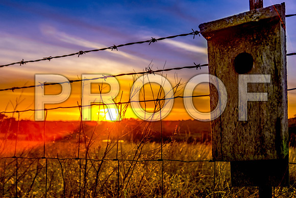 Farm Sunset (c)PicsbyJax-0605