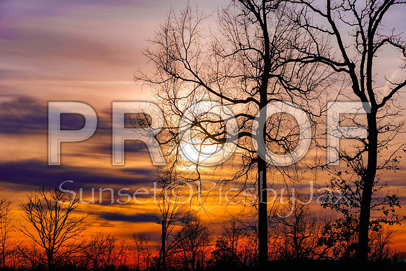 Sunset (c)PicsbyJax-0746