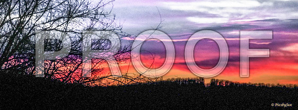 Sunset (c)PicsbyJax-7729