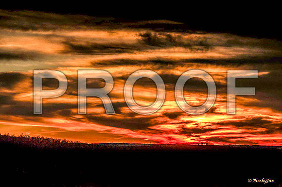 Sunset (c)PicsbyJax-7728