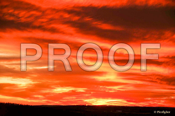 Sunset (c)PicsbyJax-7727