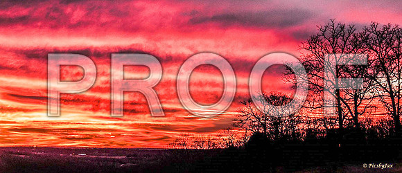 Sunset (c)PicsbyJax-7726