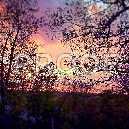 Sunset (c)PicsbyJax-7724