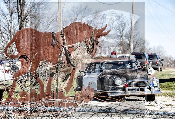 Gay Parita Police Car and Sculpture-2.jpg