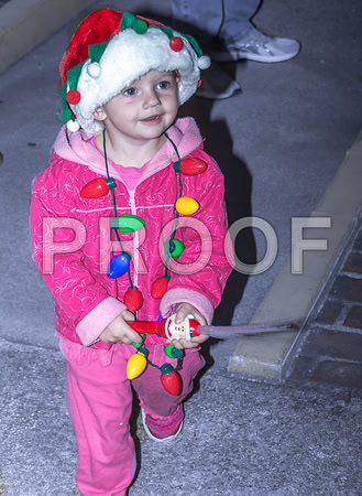 City of Lights (c)2016PicsbyJax richlandmo  picsbyjax-2736.jpg