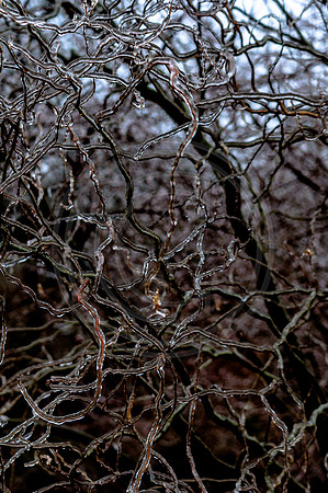 Jupiter Ice Storm- Friday 13, 2017 (c)PicsbyJax whatisee shootandediteveryday picsbyjax-0171.jpg