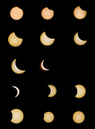 Solar Eclipse 2017 (c)2017PicsbyJax-.jpg