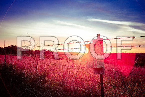 Field of Glory-0593.jpg