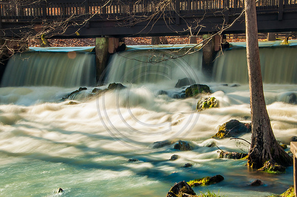 OSJ Meramec Springs-0189.jpg