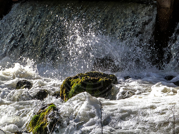 OSJ Meramec Springs-1150211.jpg