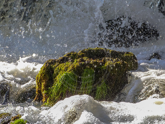 OSJ Meramec Springs-1150221.jpg