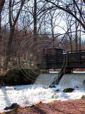 OSJ Meramec Springs-1150231.jpg