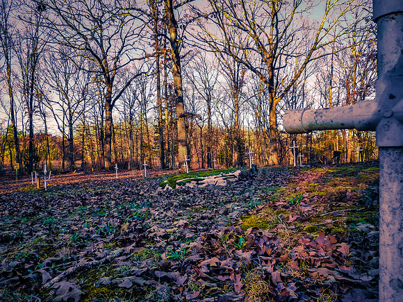 OSJ Meramec Springs-1150401.jpg