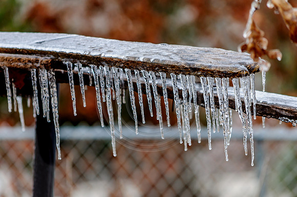Jupiter Ice Storm- Friday 13, 2017 (c)PicsbyJax whatisee shootandediteveryday picsbyjax-0070.jpg