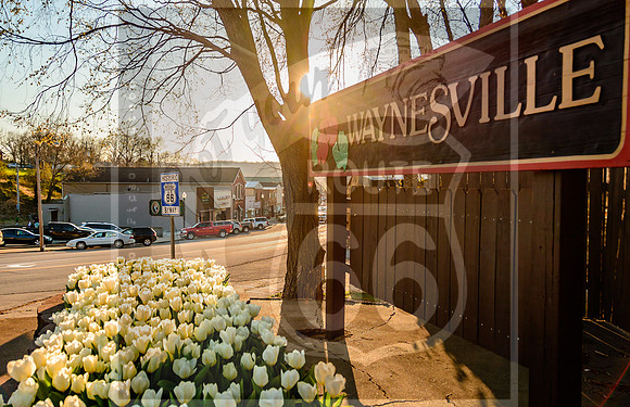 Route 66 - Waynesville, MO (c)2017PicsbyJax #waynesvillemo #signage #tulips #route66 #plantersofpulaskicountygardenclub #getyourpicsonroute66 #picsbyjax-7435.jpg