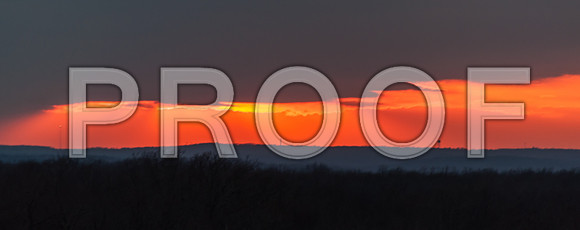 Sunset (c)PicsbyJax-0001.jpg