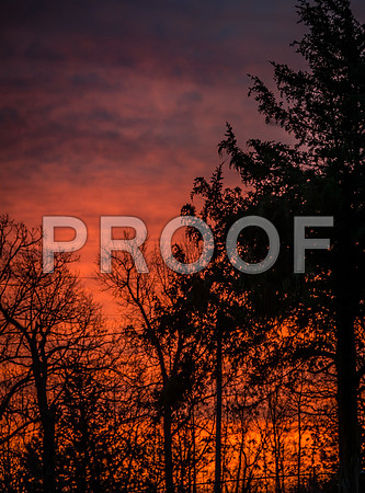 December Sunrise (c)PicsbyJax-8122.jpg