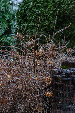 Jupiter Ice Storm- Friday 13, 2017 (c)PicsbyJax whatisee shootandediteveryday picsbyjax-0170.jpg