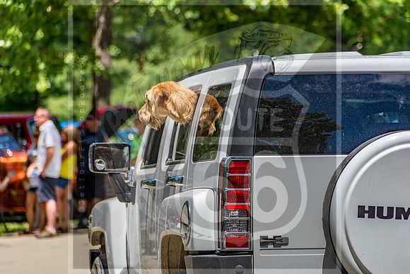Cave State Cruisers Car Show - Waynesville, MO (c)2017PicsbyJax #waynesvillemo #picsbyjax-4126.jpg