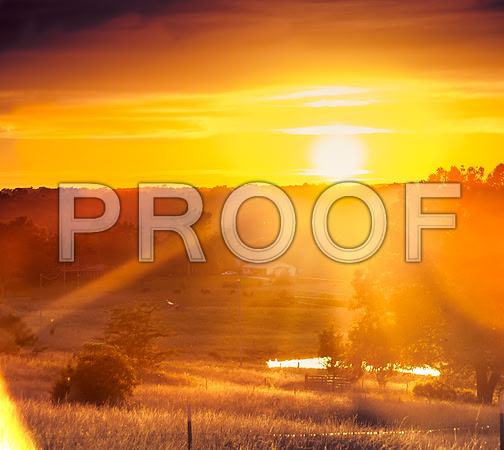 DYE Property-0618.jpg