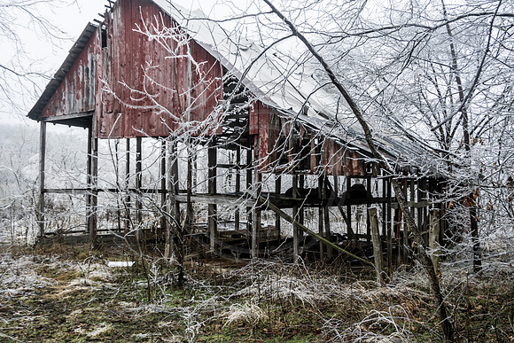 Jupiter Ice Storm- Saturday 14, 2017 (c)PicsbyJax whatisee shootandediteveryday picsbyjax-5162.jpg